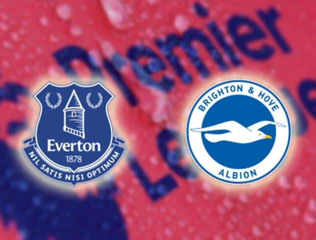 Soi kèo nhà cái Everton vs Brighton & Hove Albion, 11/01/2020 - Ngoại Hạng Anh
