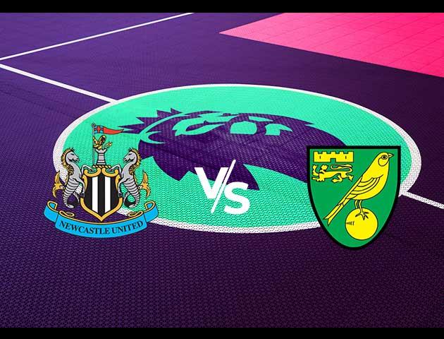 Soi kèo nhà cái Newcastle vs Norwich, 1/02/2020 - Ngoại Hạng Anh