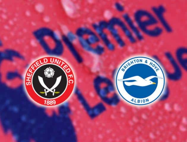 Soi kèo nhà cái Sheffield United vs Brighton & Hove Albion, 22/02/2020 - Ngoại Hạng Anh Soi kèo nhà cái Sheffield United vs Brighton & Hove Albion, 22/02/2020 - Ngoại Hạng Anh