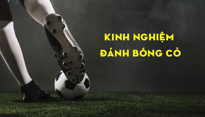 Cách chơi và soi kèo bóng cỏ
