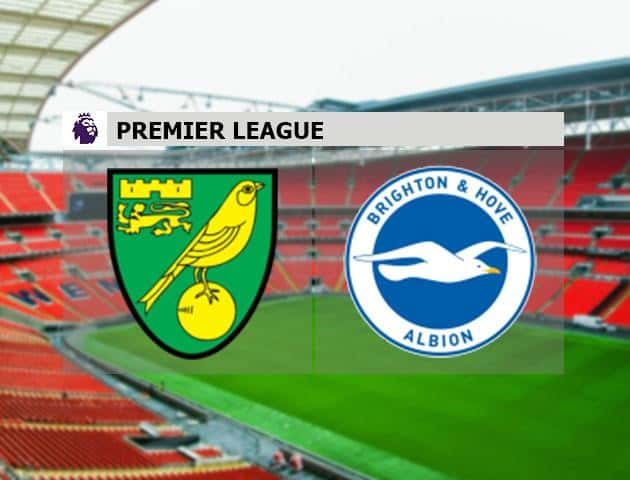 Soi kèo nhà cái Norwich City vs Brighton & Hove Albion, 04/7/2020 - Ngoại Hạng Anh