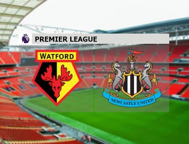 Soi kèo nhà cái Watford vs Newcastle United, 11/7/2020 - Ngoại Hạng Anh Soi kèo nhà cái Watford vs Newcastle United, 11/7/2020 - Ngoại Hạng Anh