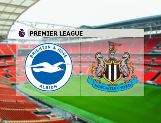 Soi kèo nhà cái Brighton & Hove Albion vs Newcastle United, 18/7/2020 - Ngoại Hạng Anh