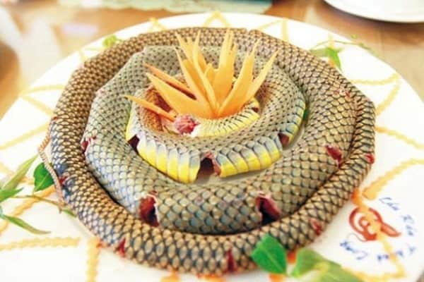 Nằm mơ thấy ăn thịt rắn điềm báo gì, đánh con gì dễ trúng ?