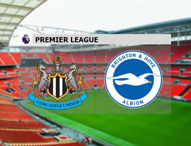 Soi kèo nhà cái Newcastle vs Brighton, 20/09/2020 - Ngoại Hạng Anh Soi kèo nhà cái Newcastle vs Brighton, 20/09/2020 - Ngoại Hạng Anh