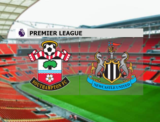 Soi kèo nhà cái Southampton vs Newcastle United, 7/11/2020 - Ngoại Hạng Anh Soi kèo nhà cái Southampton vs Newcastle United, 7/11/2020 - Ngoại Hạng Anh