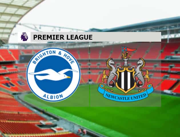 Soi kèo bóng đá Brighton vs Newcastle, 21/3/2021 - Ngoại Hạng Anh Soi kèo bóng đá Brighton vs Newcastle, 21/3/2021 - Ngoại Hạng Anh