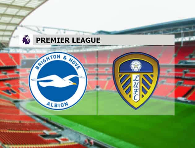 Soi kèo nhà cái Brighton vs Leeds, 1/5/2021 - Ngoại Hạng Anh Soi kèo nhà cái Brighton vs Leeds, 1/5/2021 - Ngoại Hạng Anh