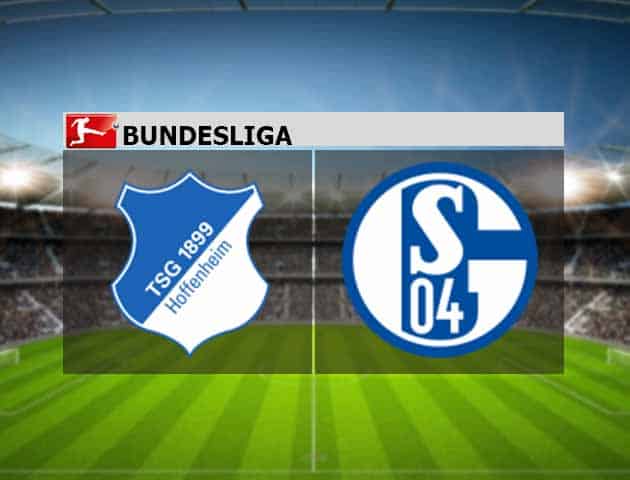 Soi kèo nhà cái Hoffenheim vs Schalke, 08/05/2021 - VĐQG Đức [Bundesliga]