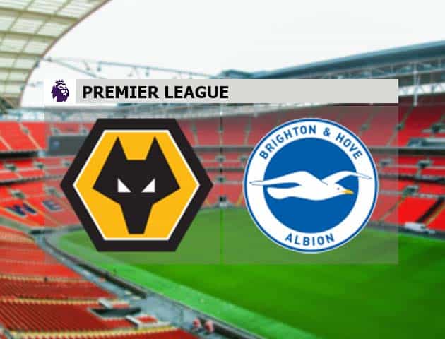 Soi kèo nhà cái Wolves vs Brighton, 09/05/2021 - Ngoại Hạng Anh Soi kèo nhà cái Wolves vs Brighton, 09/05/2021 - Ngoại Hạng Anh