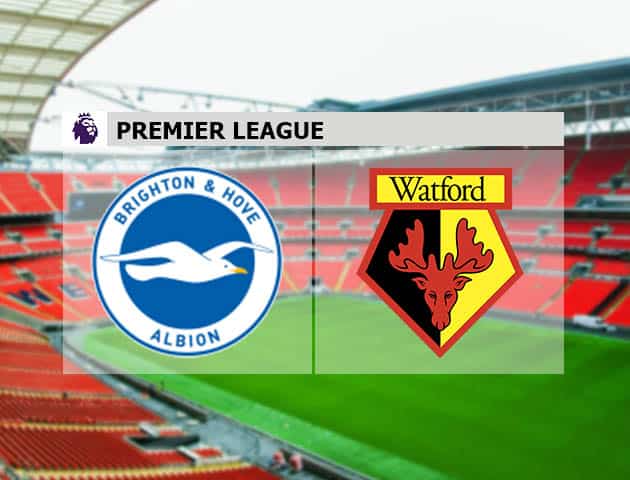Soi kèo nhà cái Brighton vs Watford, 21/08/2021 - Ngoại hạng Anh Soi kèo nhà cái Brighton vs Watford, 21/08/2021 - Ngoại hạng Anh