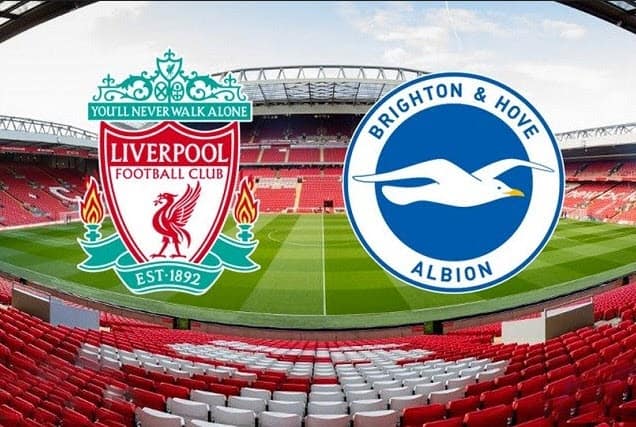 Soi kèo bóng đá Liverpool vs Brighton, 30/10/2021