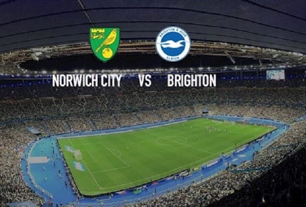 Soi keo Norwich vs Brighton, 16/10/2021