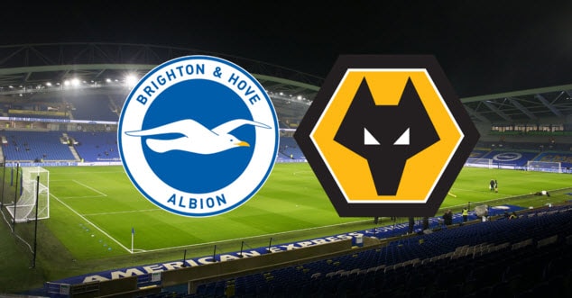 Soi kèo bóng đá Brighton vs Wolves, 02h30 16/12/2021