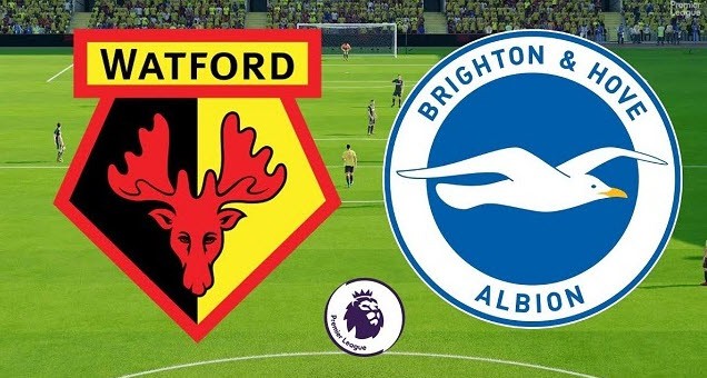 Soi kèo bóng đá Watford vs Brighton, 22h00 ngày 12/02/2022