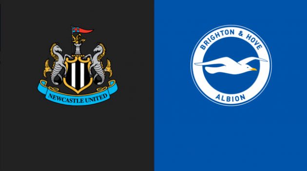 Soi kèo bóng đá Newcastle vs Brighton, 05/03/2022 Soi keo Newcastle vs Brighton, 05/03/2022