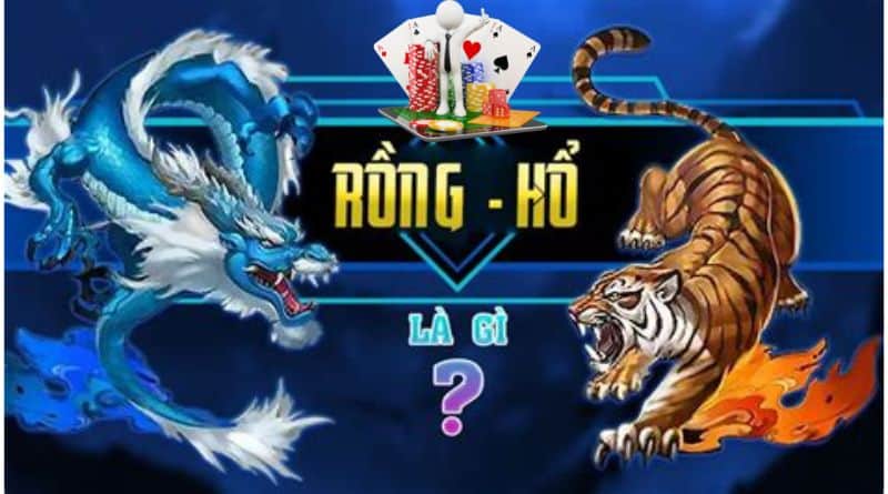 Một số gợi ý để bạn tham gia chơi Rồng Hổ với cơ hội thắng cược lớn hơn