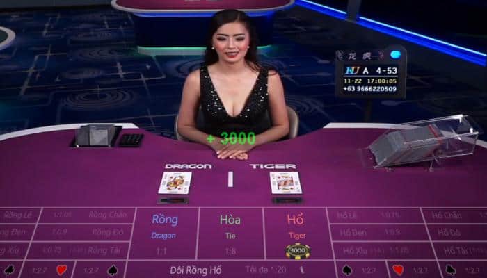 Rồng Hổ và những sai lầm luôn khiến bạn thua nặng khi mắc phải