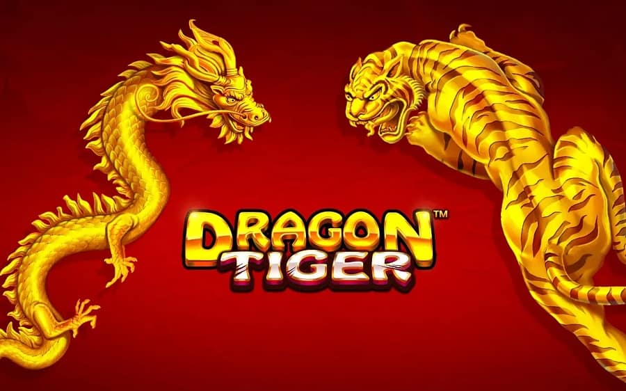 Chỉ bạn cách để cải thiện cơ hội thắng trong Rồng Hổ cực đơn giản